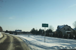 Wataha psów terroryzuje wieś. „Nie zaatakowały z głodu. To była napaść, by zabić”