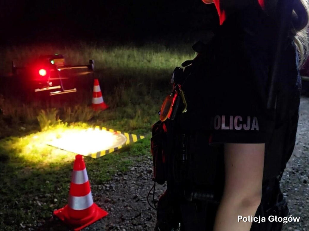Alarm na Dolnym Śląsku. Nowe ustalenia po poszukiwaniach tajemniczego drapieżnika