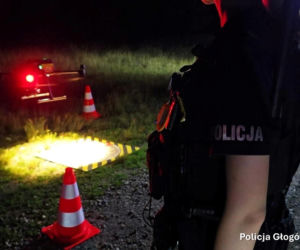 Alarm na Dolnym Śląsku. Nowe ustalenia po poszukiwaniach tajemniczego drapieżnika