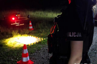 Alarm na Dolnym Śląsku. Nowe ustalenia po poszukiwaniach tajemniczego drapieżnika