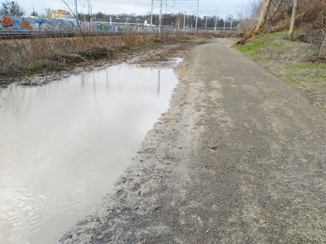 "Ścieżka rozpłynie się lada moment". Urzędnicy źle zrealizowali obywatelski projekt?