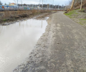 Ścieżka rozpłynie się lada moment. Urzędnicy źle zrealizowali obywatelski projekt?