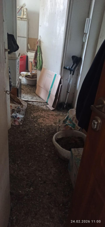 Dramat we Wrocławiu! Weszli do mieszkania i zamarli. Wszędzie były gołębie i odchody