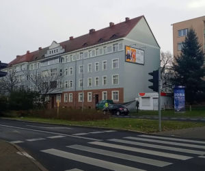 Okazałe drzewa na Turzynie poszły pod topór
