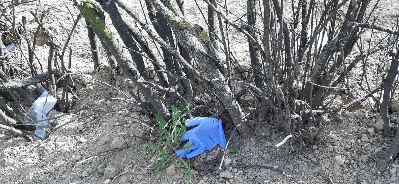 jednorazowe rękawiczki na trawnikach