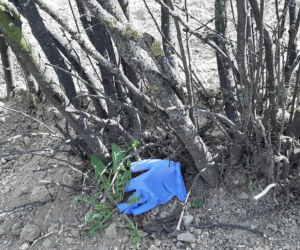 jednorazowe rękawiczki na trawnikach
