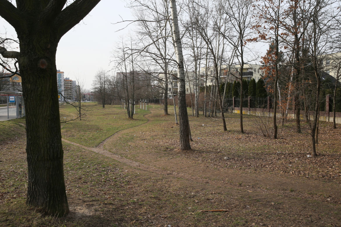 Urzędnicy chcą z zielonego skweru zrobić parking. Mieszkańcy wolą park