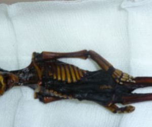 Mumia Ata