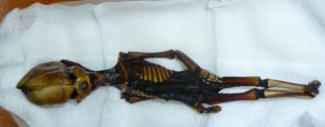 Mumia Ata