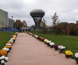 Dwa tysiące chryzantem ozdobiło park w Tarnowie