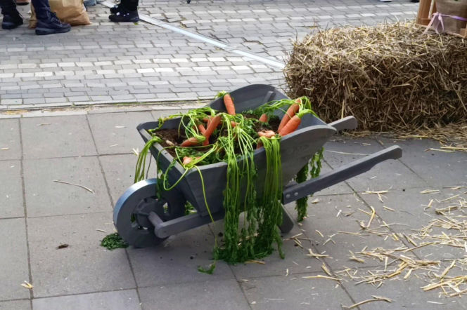 Szczeciński Jarmark Wielkanocny