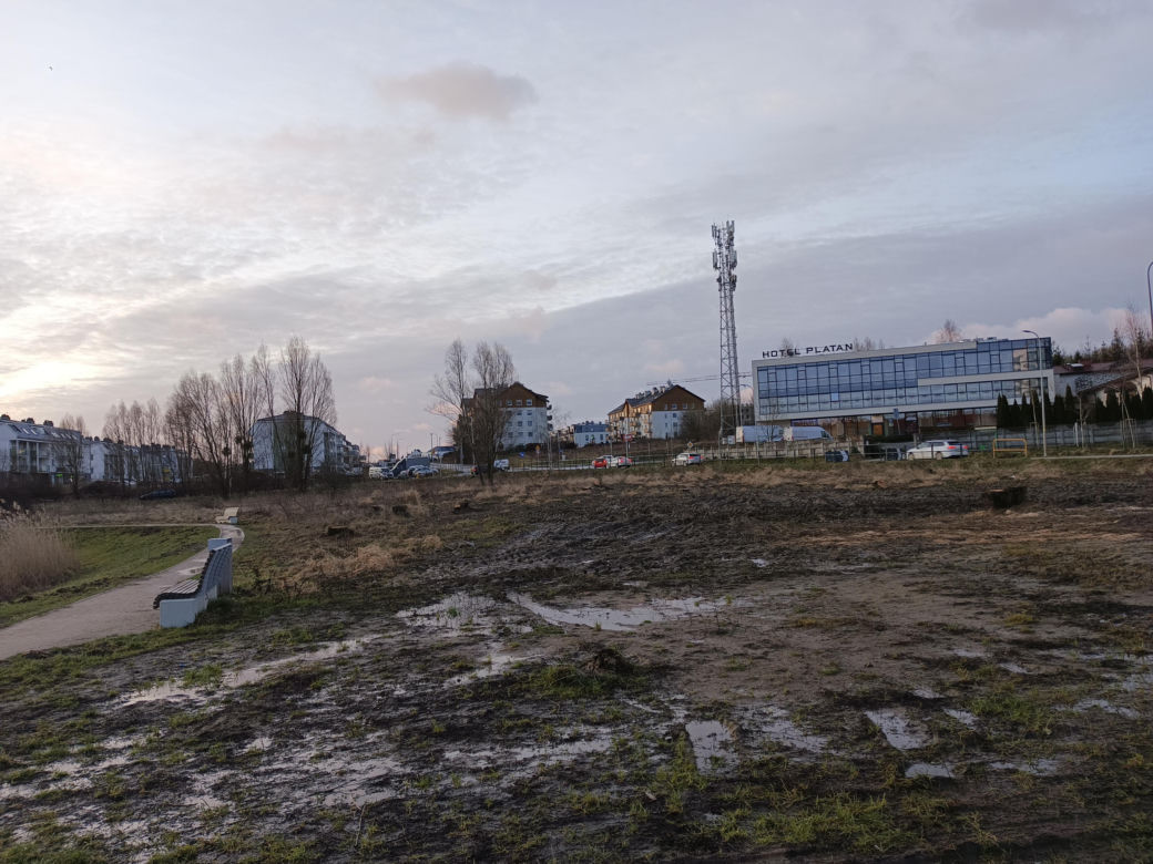 Wycinka drzew pod kolejne bloki. Mieszkańcy pozostaną bez miejsca do wypoczynku?