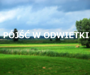 Pójść w odwiedki