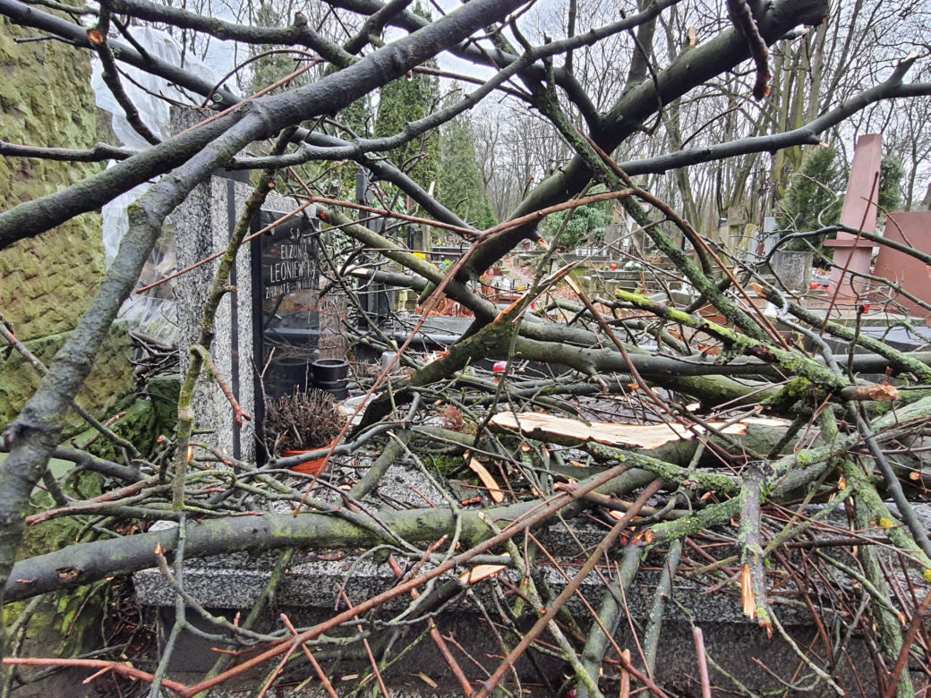 Wichura zdemolowała stołeczne nekropolie. Kompletna ruina na cmentarzach 