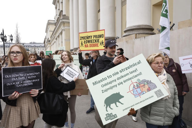 Warszawa. Protest w obronie dzików