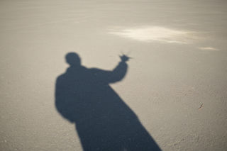 Groźny pożar w Chybiu. Jedna osoba potrzebowała pomocy medycznej, co działo się na miejscu?