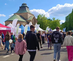 Piknik nad Odrą