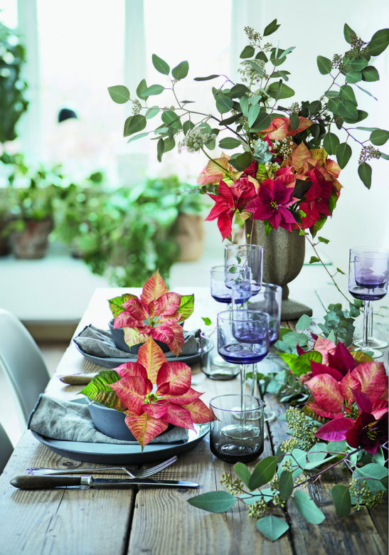 Stół świąteczny