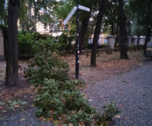 Promenada Staromiejska