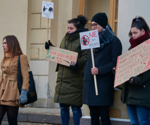 Lublin: Protest w obronie dzików. „Nie dla myśliwych”