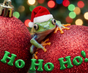 Boże Narodzenie 2025: Najpiękniejsze życzenia na Wigilię 2025. Pobierz za darmo i wyślij do najbliższych