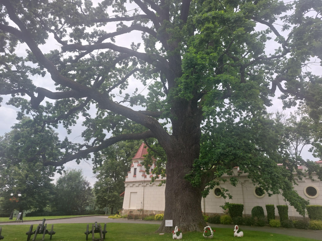 Zamek Dubiecko