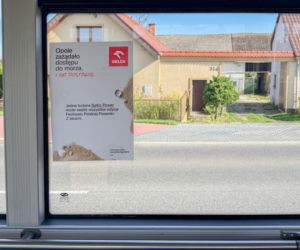 Morze pod Kielcami? Polacy długo nie wiedzieli, o co chodzi