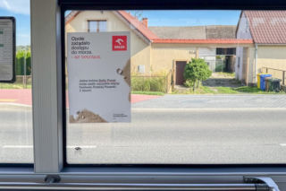 Morze pod Kielcami? Polacy długo nie wiedzieli, o co chodzi