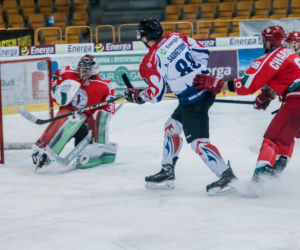 KH Energa Toruń - Zagłębie Sosnowiec 3:2 - zdjęcia z meczu i trybun