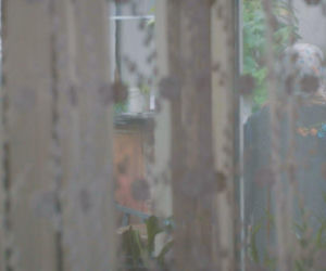 Miłość i nadzieja, odcinek 348