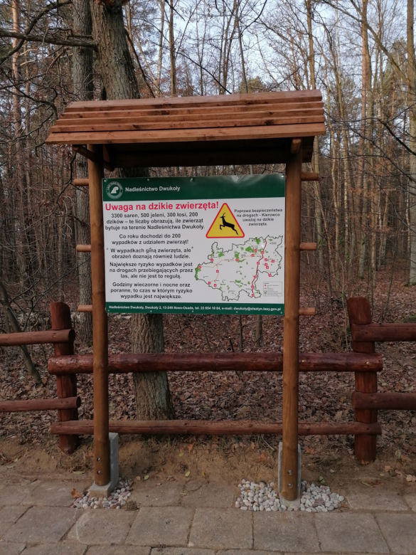 Mural z łosiem stanął przy drodze. Ma ostrzegać kierowców [ZDJĘCIA]