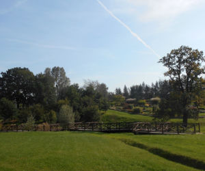Śląski Ogród Botaniczny w Mikołowie