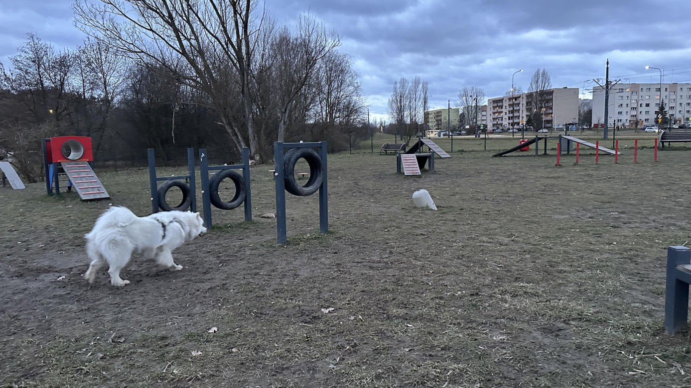 Psi park na ul. Opolczyka w Łodzi