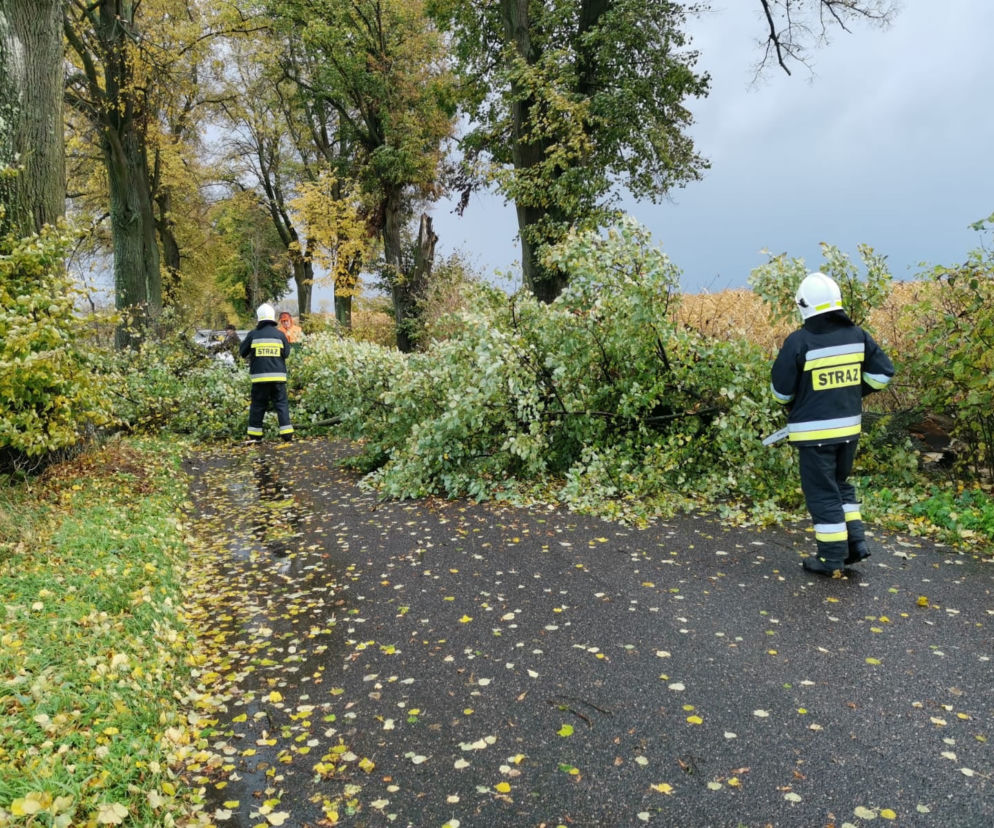Silny wiatr nie odpuszcza! Żółty alert dla mieszkańców Bydgoszczy [22.10.2021]