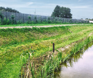 Zakładanie trawnika na skarpie