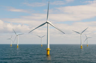 Wstrzymali inwestycję w Szczecinie, ale wciąż szukają ludzi do pracy. Zatrudnienie u duńskiego giganta znajdzie 300 osób