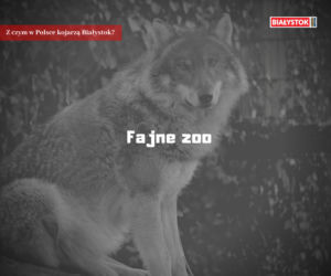 Z czym w Polsce kojarzą Białystok?