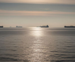 Trump żąda interwencji. Czy NATO jest zagrożone?