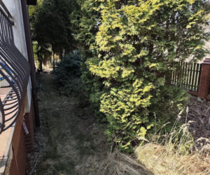 Upadek znanego prokuratora. Sukcesy, korupcja i śmierć. Jak zginął Jerzy Hop i jego syn? Nowe hipotezy szokują