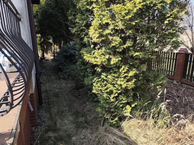 Upadek znanego prokuratora. Sukcesy, korupcja i śmierć. Jak zginął Jerzy Hop i jego syn? Nowe hipotezy szokują