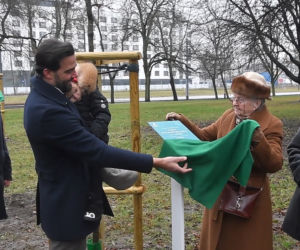 Powstańcy zapuścili korzenie. 20 drzew dla bohaterów w parku na Woli