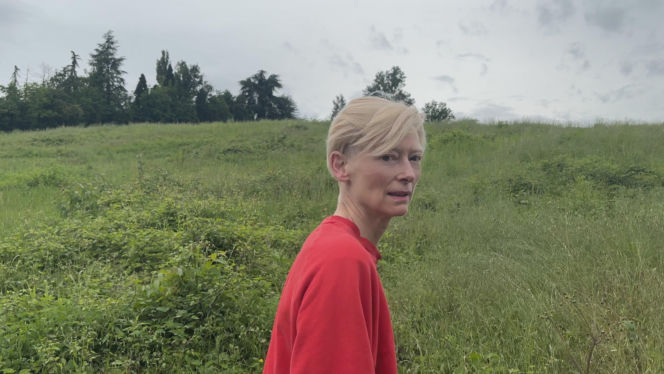 Tilda Swinton – Ongoing