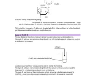 Matura próbna CKE 2026 - chemia. Poprawne odpowiedzi