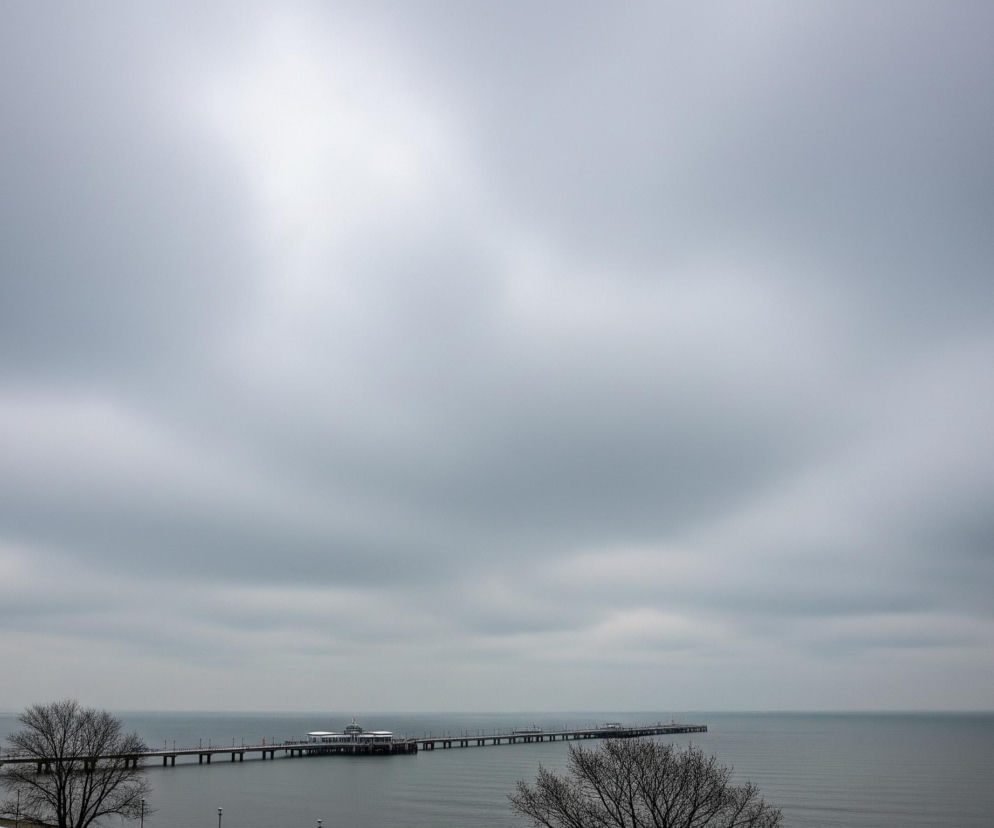Długie molo z jasnymi budynkami na końcu rozciąga się w głąb spokojnej, szarej wody. Horyzont jest niewyraźny, linia morza zlewa się z pochmurnym, szarym niebem, które zajmuje większą część obrazu. Po lewej stronie widać fragment zalesionego wybrzeża i nagie drzewa na pierwszym planie po obu stronach kadru, dodające ciemnych akcentów.