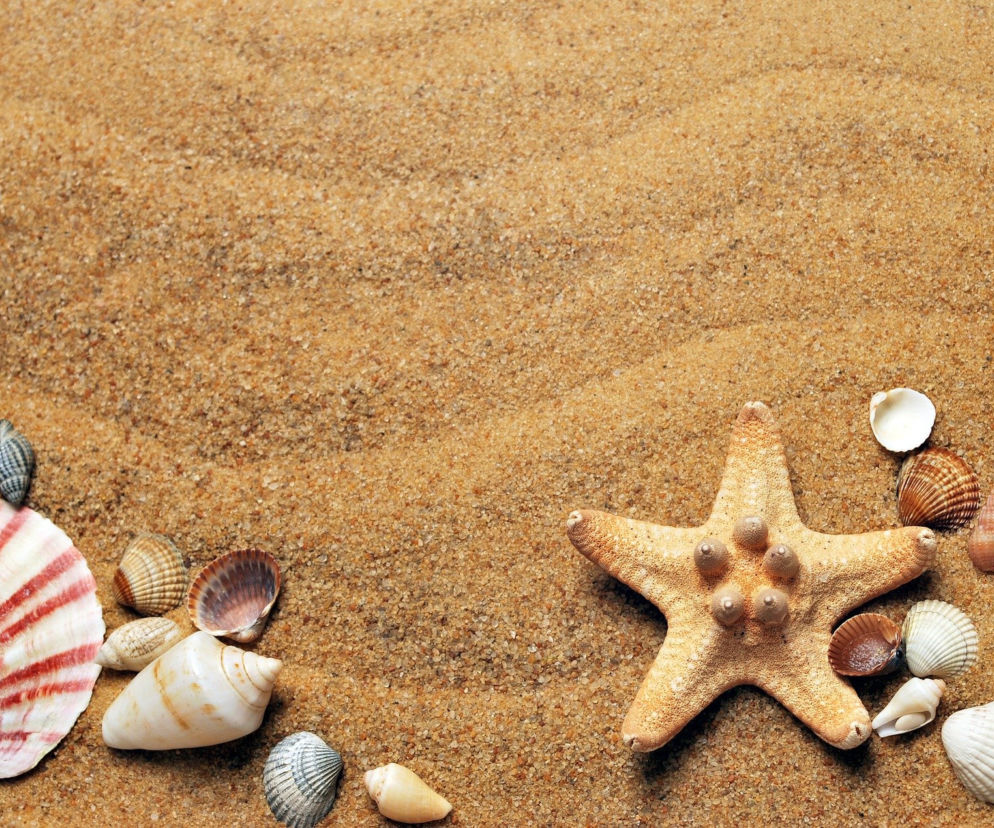 Piasek i muszelki