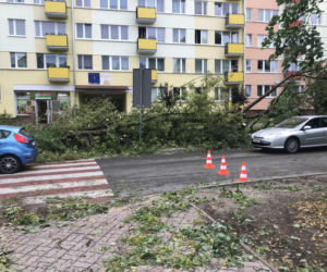 Jedną z dzielnic, któa ucierpiała najbardziej był Czechów Południowy