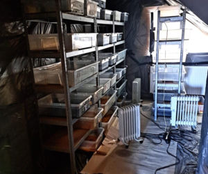 Policjanci zlikwidowali fabrykę narkotyków