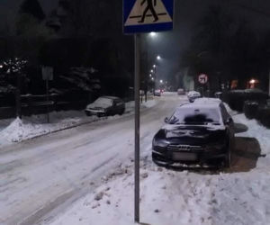 Tak się parkuje w Gliwicach. Straż Miejska opublikowała zdjęcia Miszczów z lutego [GALERIA]