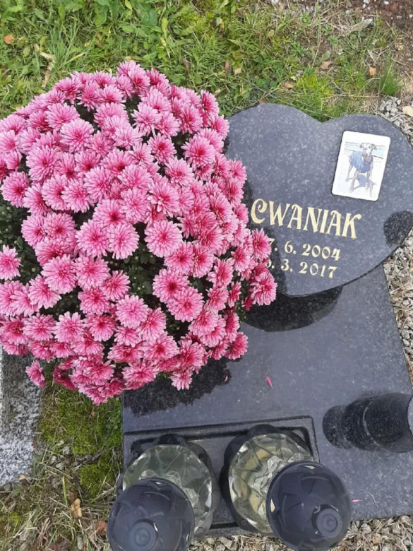 W całym woj. śląskim jest tylko jeden taki cmentarz. Miejsce, gdzie pamięć o pupilu nie umiera