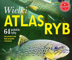 Atlas ryb